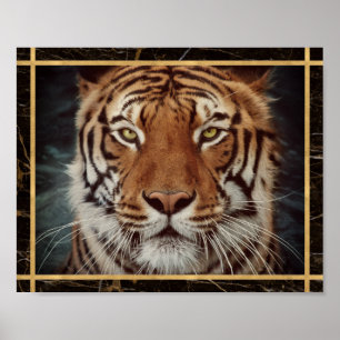 Tiger Face Foto Image Print Poster