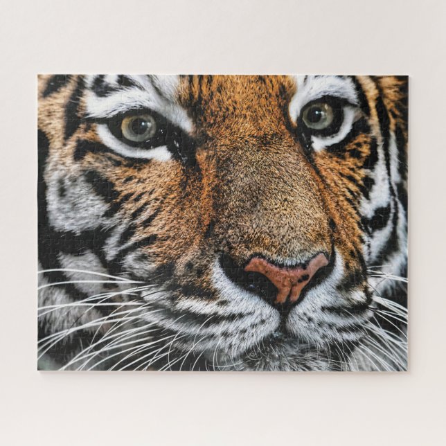 Tiger Face, Puzzle (Horizontal)
