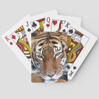 Tiger - Fahrradkarten Spielkarten