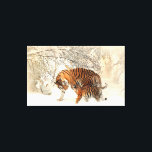 Tiger Familie im Winter Landschaft Canvas Print Leinwanddruck<br><div class="desc">Tiger Familie in Winter Landschaft Canvas Print.</div>