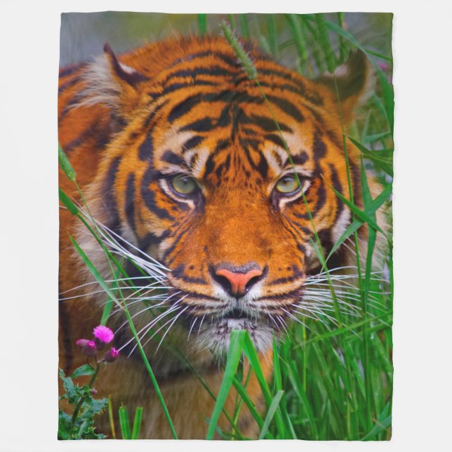 Tiger Fleecedecke (Vorderseite)