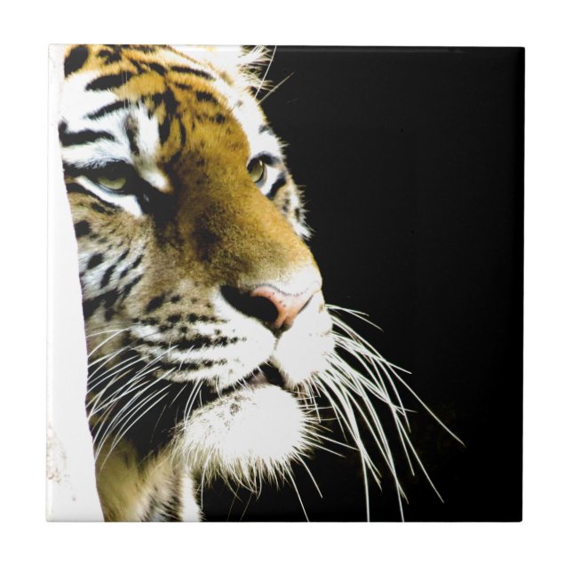 Tiger Fliese (Vorderseite)