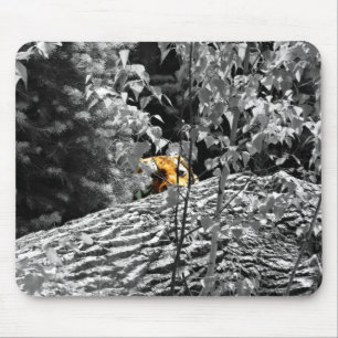Tiger Flüchtige Blick-a-boo Mousapad Mousepad
