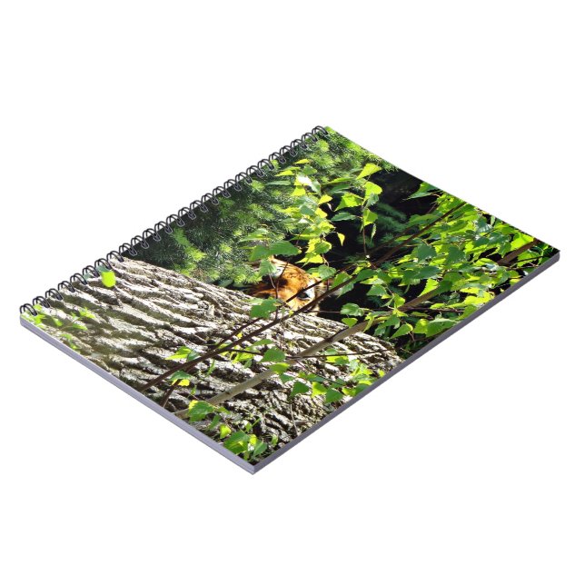 Tiger Flüchtige Blick-a-Boo-Notebook Notizblock (Linke Seite)