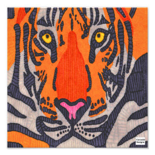 Tiger - Fotodruck
