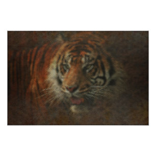 Tiger Fotodruck