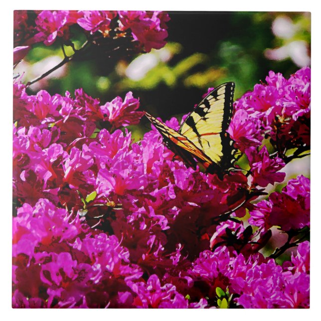 Tiger-Frack auf Azalea Fliese (Vorderseite)
