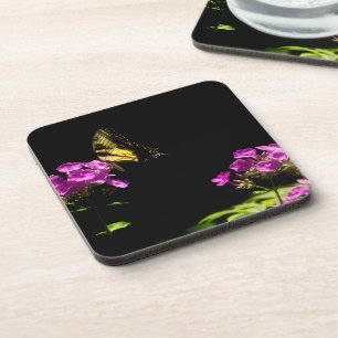 Tiger-Frack auf Phlox - Sommer Getränkeuntersetzer