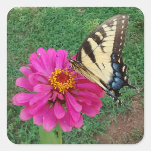 Tiger-Frack auf rosa Blume Quadratischer Aufkleber