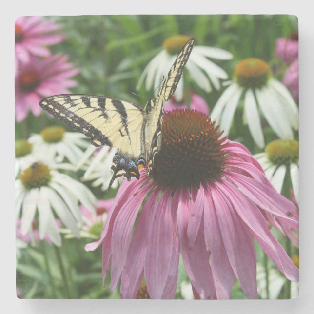 Tiger Frack Butterfly Fower Stone Untersetzer (Vorderseite)