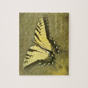 Tiger Frack Butterfly - Papilio glaucus