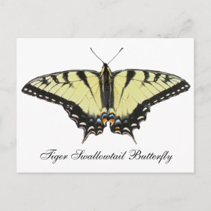 Tiger Frack Butterfly Postkarte