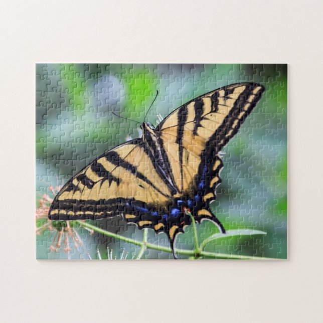 Tiger Frack Butterfly Puzzle (Horizontal)