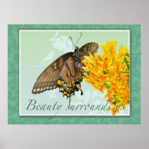 Tiger Frack Butterfly Schönheit umgibt uns Poster