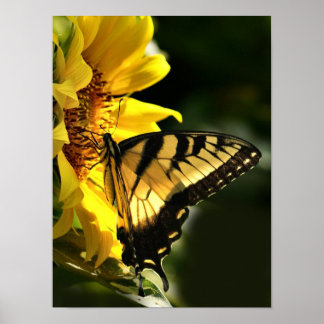 Tiger-Frack Poster