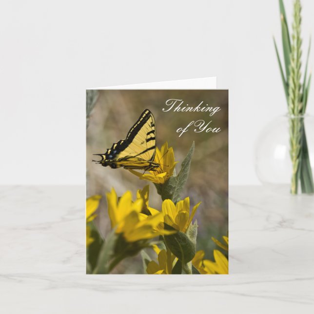 Tiger-Frack-Schmetterling auf dem Ohr Karte (Vorderseite)