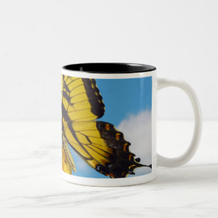 Tiger-Frack-Schmetterling auf einer Blume Zweifarbige Tasse