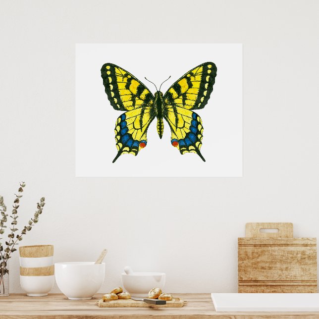 Tiger-Frack-Schmetterling Poster (Küche)