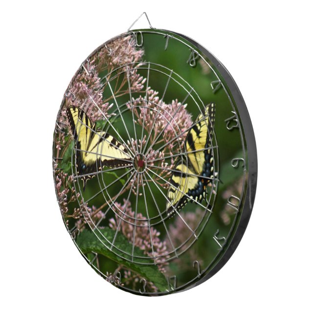 Tiger-Frack-Schmetterlinge auf Joe Pye Weed Dartscheibe (Vorderseite rechts)
