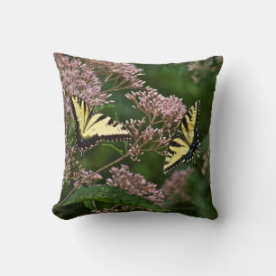 Tiger-Frack-Schmetterlinge auf Joe Pye Weed Kissen