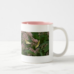 Tiger-Frack-Schmetterlinge auf Joe Pye Weed Zweifarbige Tasse