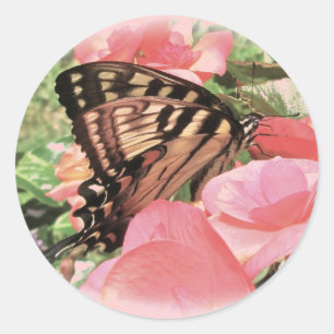 Tiger Frack Stickers