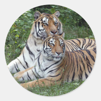 Tiger-Freunde-b-1 Runder Aufkleber