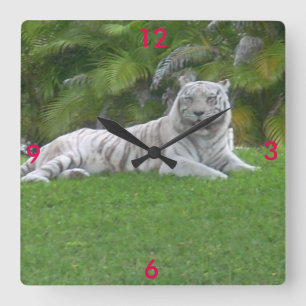 Tiger Friend Quadratische Wanduhr