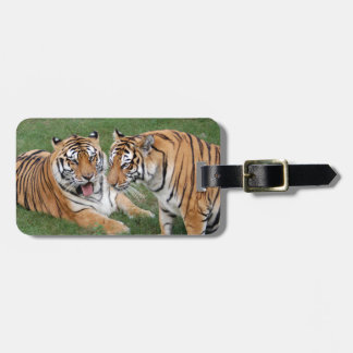 Tiger Friends-009 Gepäckanhänger