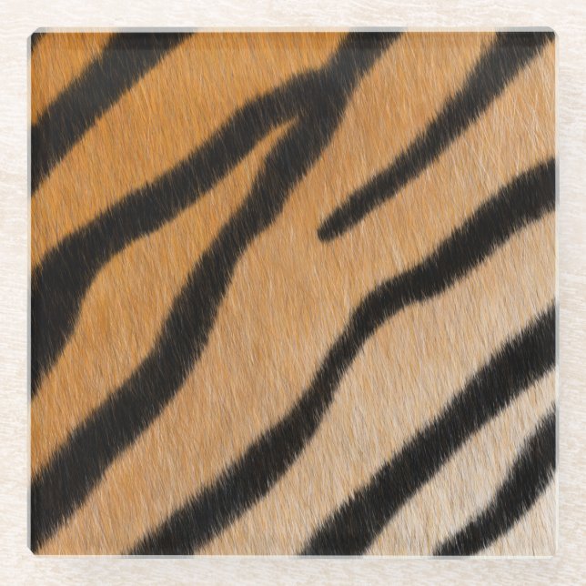 Tiger Fur realistische Tierdruckexotik Glasuntersetzer (Vorderseite)