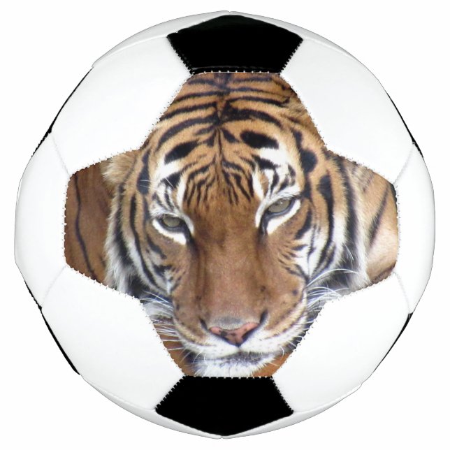 Tiger - Fußball (Vorderseite)