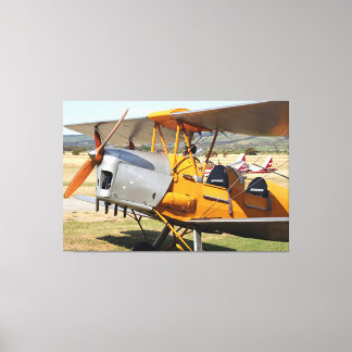 Tiger-Gelbes Zweiflugzeug Leinwanddruck