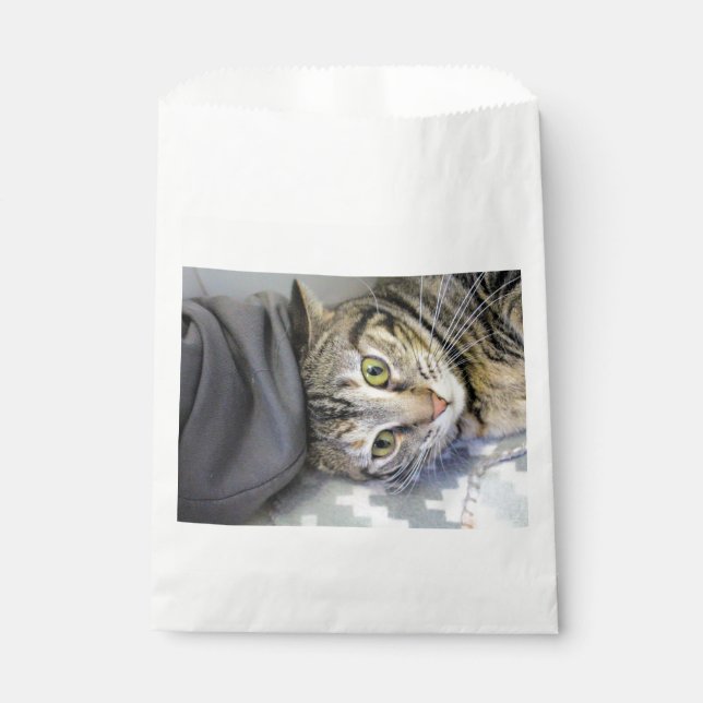 Tiger Geschenktütchen (Vorderseite)