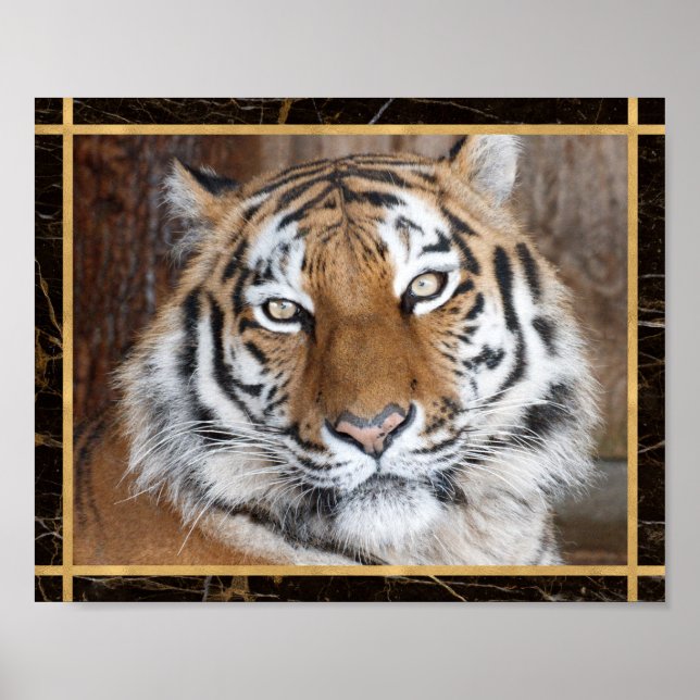 Tiger-Gesicht-Foto-Bild-Druck-Plakat Poster (Vorne)