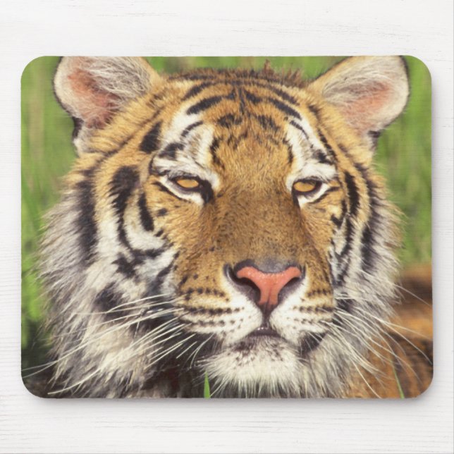 Tiger-Gesicht Mousepad (Vorne)