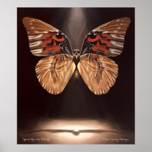 Tiger-Gesichts-Schmetterlings-Plakat Poster