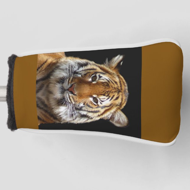 Tiger Golf Headcover (Vorderseite)