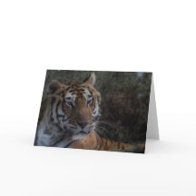 Tiger Greeting Karte Tiger Glückwunsch