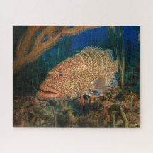Tiger Grouper Puzzle sous-marin