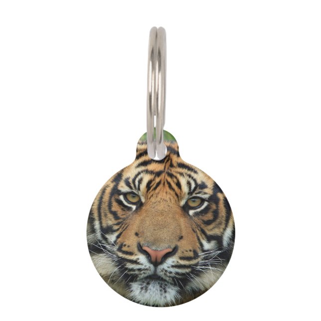 Tiger Haustiermarke (Vorderseite)