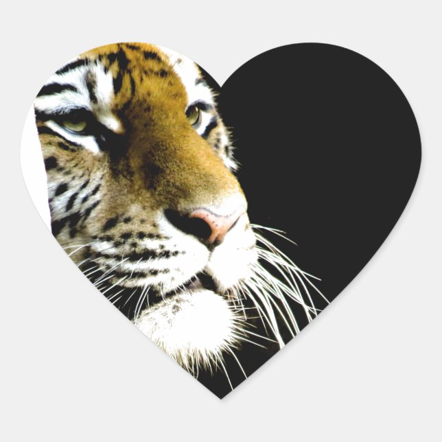 Tiger Herz-Aufkleber (Vorderseite)