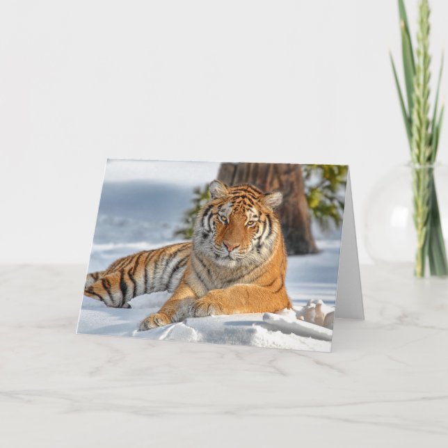 Tiger Holiday Card Feiertagskarte (Vorderseite)