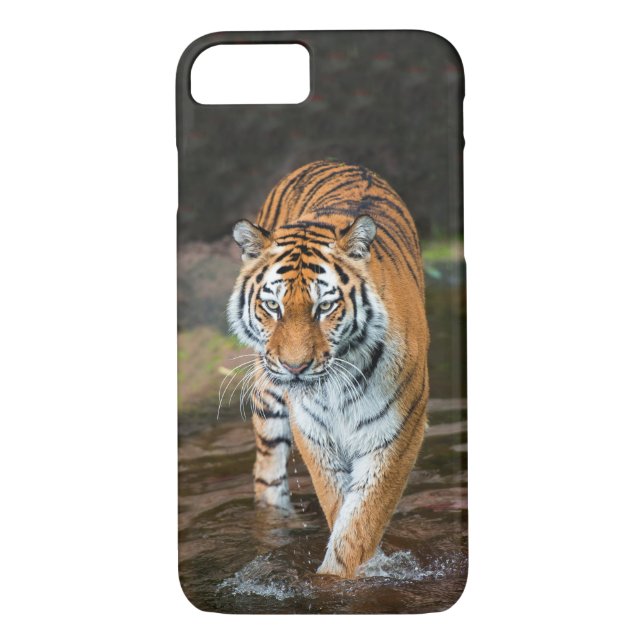 Tiger im Fluss Case-Mate iPhone Hülle (Rückseite)