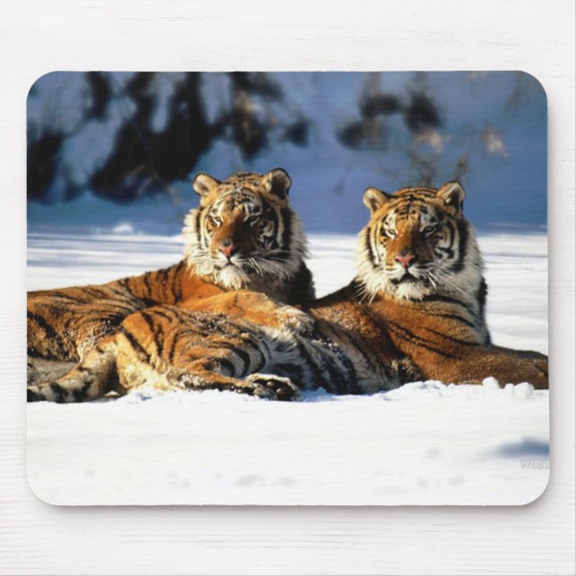 Tiger im Schnee Mousepad (Vorne)