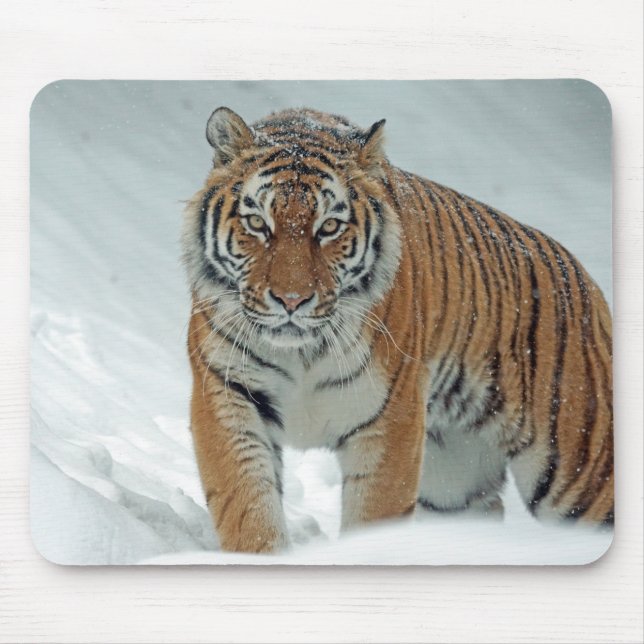 Tiger im Schnee Mousepad (Vorne)