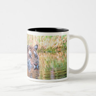 Tiger im See Zweifarbige Tasse