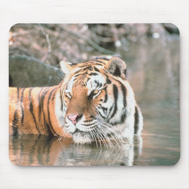 Tiger im Strom Mousepad (Vorne)