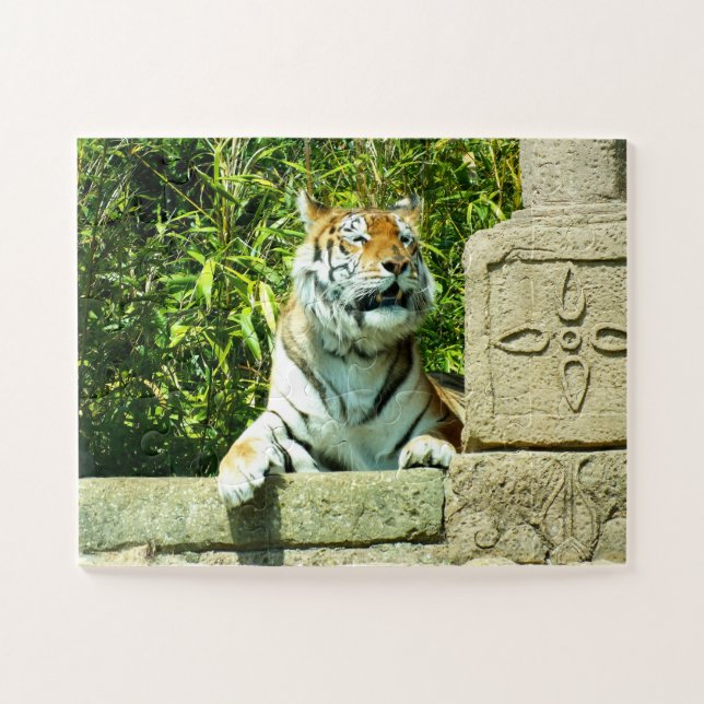 Tiger im Tempel (Horizontal)