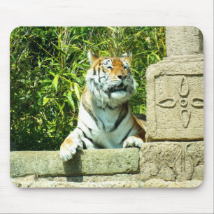 Tiger im Tempel Mousepad