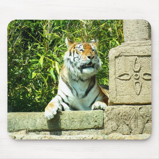 Tiger im Tempel Mousepad (Vorne)